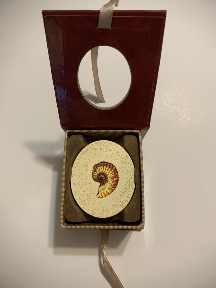 Collar concha Nautilus con caja del tesoro de recuerdo Foto 4 de 4