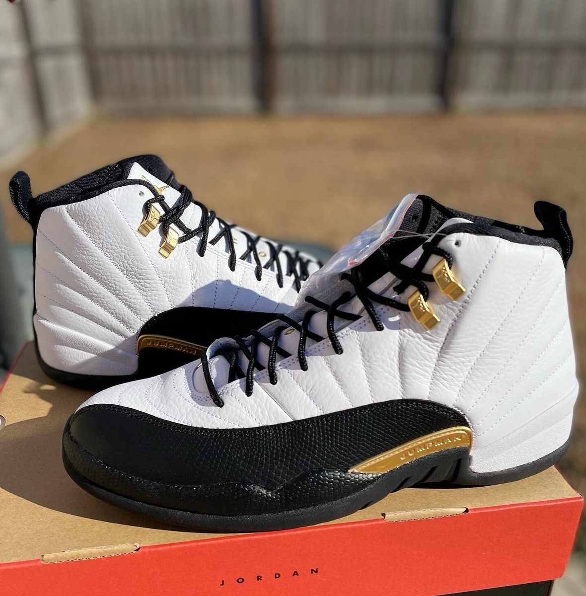 Size 12 Jordan 12 Retro Royalty Taxi
