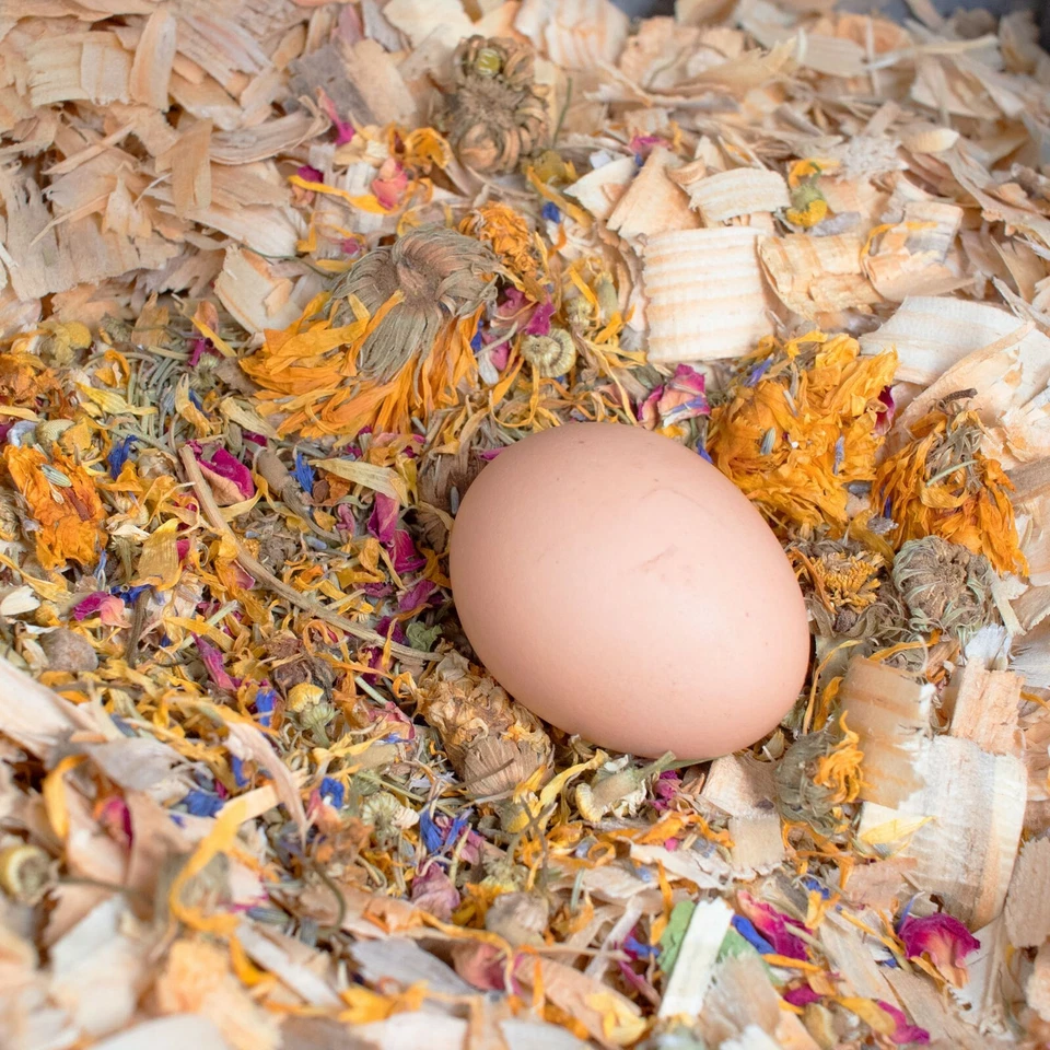 Best Eggs Ever! All Natural Nesting Herbs For Backyard Poultry & Chickens - Image 3 of 4
