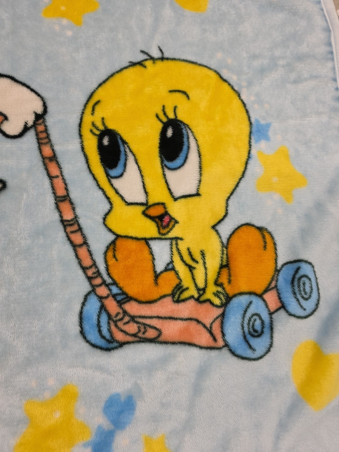 Vintage 2000 Baby Looney Tunes Sylvester Tweety Bird Baby Blanket Blue 42x32 Y2K