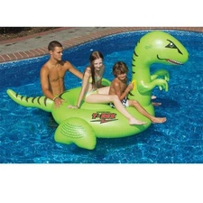 Swimline Inflatable Pool Float 90624