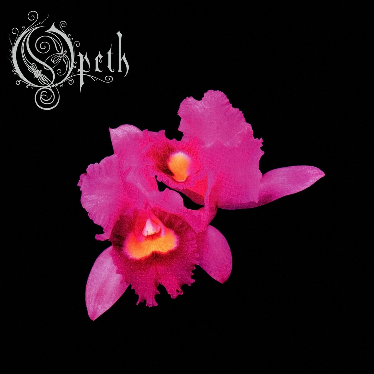 opeth ピクチャーレコード opeth ピクチャーレコード