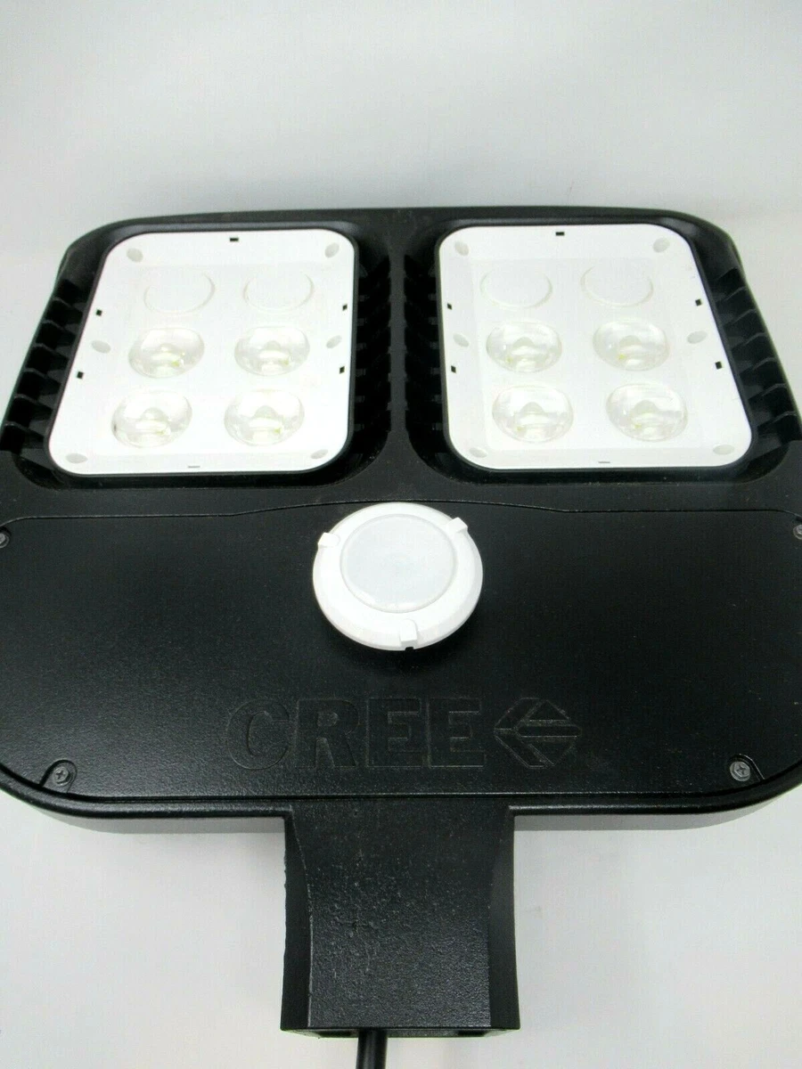 Cree spotlights 2024