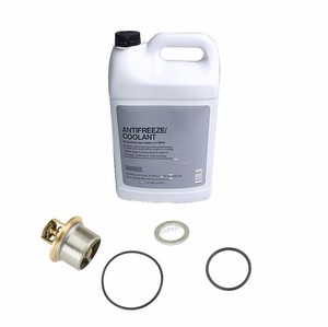 For BMW E36 E46 M3 Z3 Z4 01-08 Cooling System Kit w/ Thermostat & Antifreeze OEM | eBay