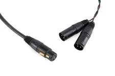 Cannare Studio Balanced Y splitter Cable | Gold XLR Female to Dual Male.