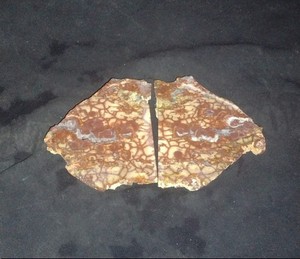 Spiderweb Jasper (Rhyolite X2 Slabs).
