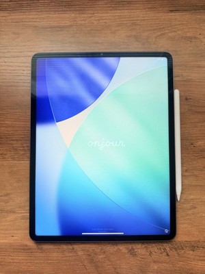 Apple iPad Pro (5th Generation) A2378 256 GB, Wi-Fi, 12.9 in - Space Gray