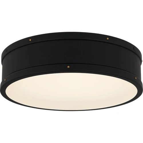 Quoizel QFL5224 Ahoy 16"W Flush Mount Drum Ceiling Fixture - Black - Picture 1 of 9