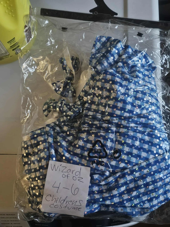  Disfraz de Dorothy El Mago de Oz Niño Niños Libro Semana Elegante talla 4-6 Foto 3 de 3