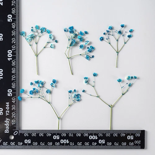 Dried Pressed Flowers Natural Epoxy Resin Candle Nail Art Scrapbooking Craft AU - Picture 163 of 210