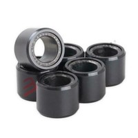 KIT 6 Rollen Streifen Variator Scooter FÜR 20X15 18,5G Honda PCX 125 18> Auss...