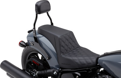 Cobra Detachable Backrest Kit 502-2012B