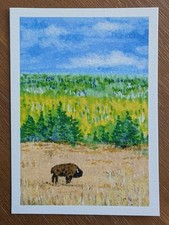 ACEO PRINT Original Painting Yellowstone Landscape Buffalo National Park WY Art