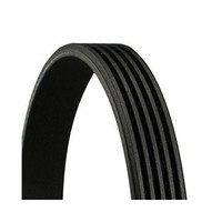 Keilrippenriemen Continental Ctam 5PK962 FüR CitroëN Fiat Honda Lancia Peugeot