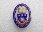 Vintage 1970 Sterling Silver & Enamel ROYAL COLLEGE OF NURSING Nurses Pin Badge