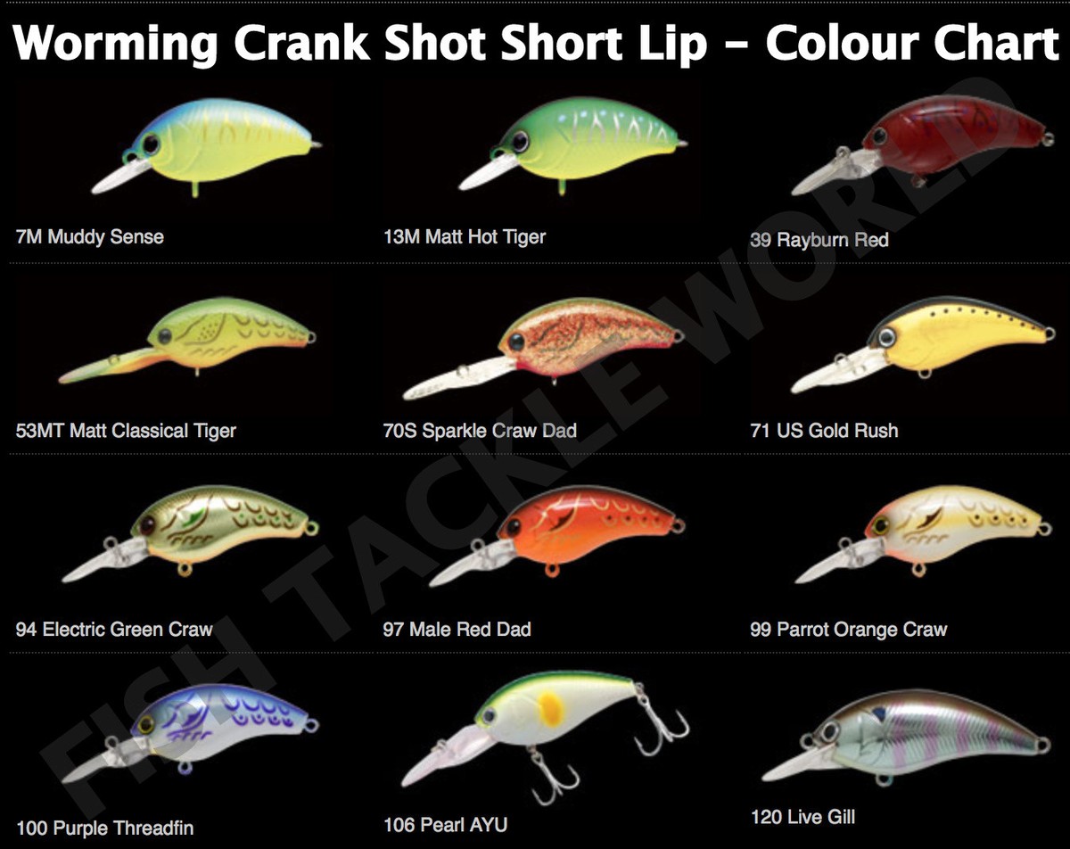 NORIES WORMING CRANK SHOT SHORT LIP MODELS CrankBait - Large