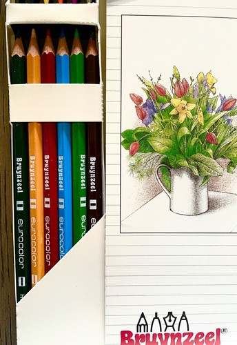 BRUYNZEEL PENCIL ART SET from HOLLAND 12 Colored Pencils + DRAWINGS to COMPLETE - Picture 5 of 11