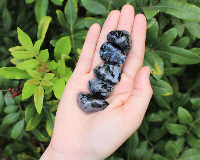5 Pack Tumbled Stone Lots: Choose Type (Premium Quality 'A' Grade Stones)