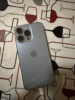 iPhone 13 Pro With TikTok