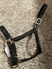 Schneiders Billy Royal Premier Scottsdale Padded Leather Cob Size Halter