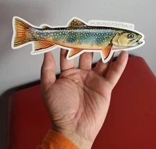 EPF Brook Trout (REALISTIC) DIE CUT GLOSSY STICKER!