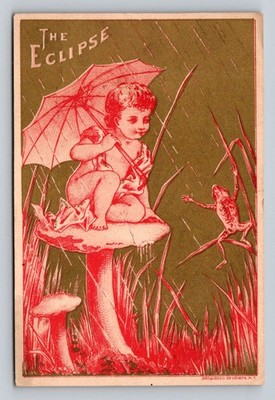 Fairy Mushroom Frog Rain Eclipse Wringer Savacool Newark Trade Card P366