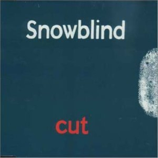 Снежная штора (CD)