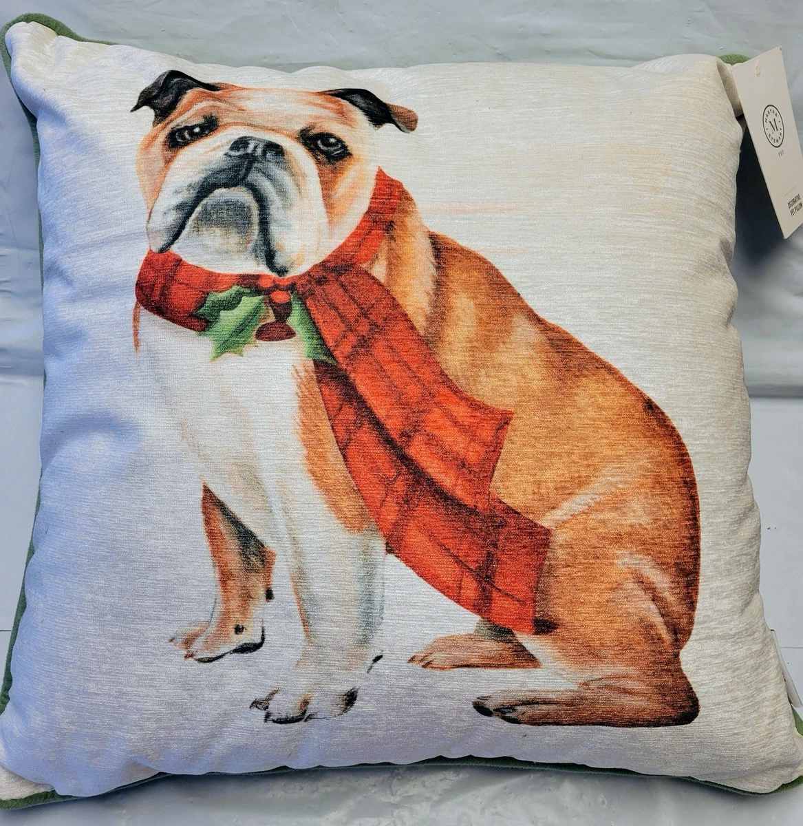 Cuscino Decorativo Quadrato 45x45 Cm Con Cane Simpatico – Federa In Misto Cotone E Poliestere, Stampa Bifacciale, Regalo Originale