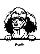 Poodle High-Quality Design Stencil Template Reusable for Wall Decor, DIY