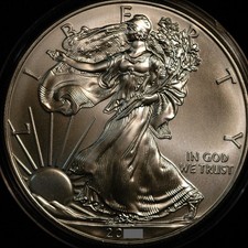 USA Dollar $1 2010 Ounce 31g .999 Fine SILVER Eagle Genuine (BD) 35.11 per troy oz