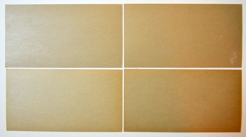 Near Set of 9 2-Card Panels of WILD ANIMAL SERIES + Insert Card + 3-D Viewer - Picture 5 of 9