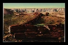 PETRIFIED FOREST ARIZONA TWIN SISTERS ORIGINAL POSTCARD