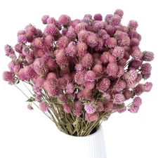 100Pcs+ Pink Dried Globe Amaranth Flowers 100% Natural Dry Gomphrena Flower B.