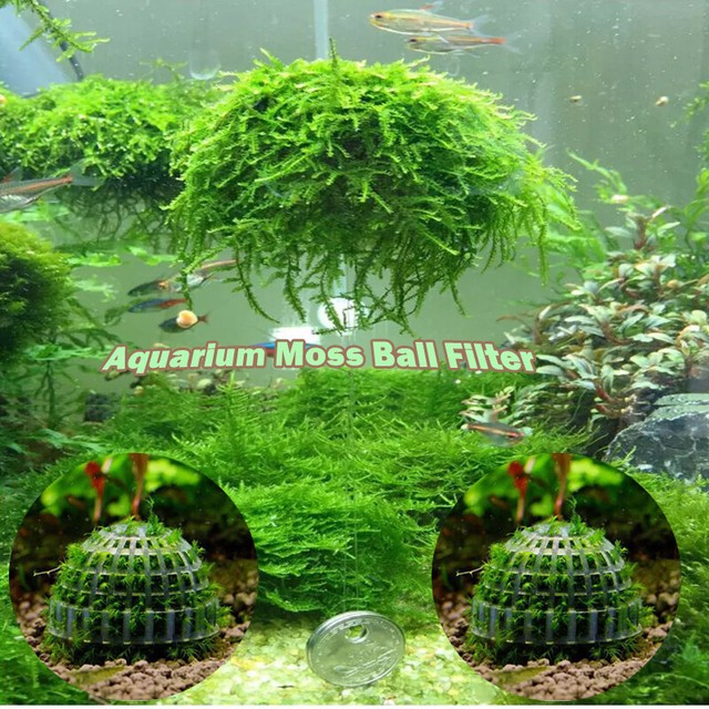 Aquarium Suspension Floating Moss Ball Plants Holder For Fish Tank