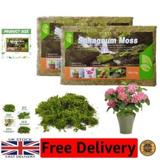 Natural Sphagnum Moss for Reptile Hatching & Indoor Plant Care, 300g