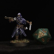 Hand Painted Elf Ranger  Fighter Miniature D D DnD TTRPG Plastic