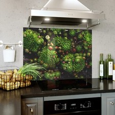 Glass Backsplash  Kitchen Tile Cooker Print Panel ANY SIZE Succulent Plant 0537