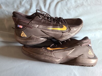 giannis game worn shoes