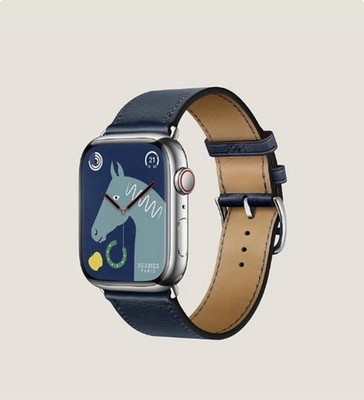 Series 8 Case & Band Apple Watch Hermès Single Tour 40mm 41mm Stainless Blue