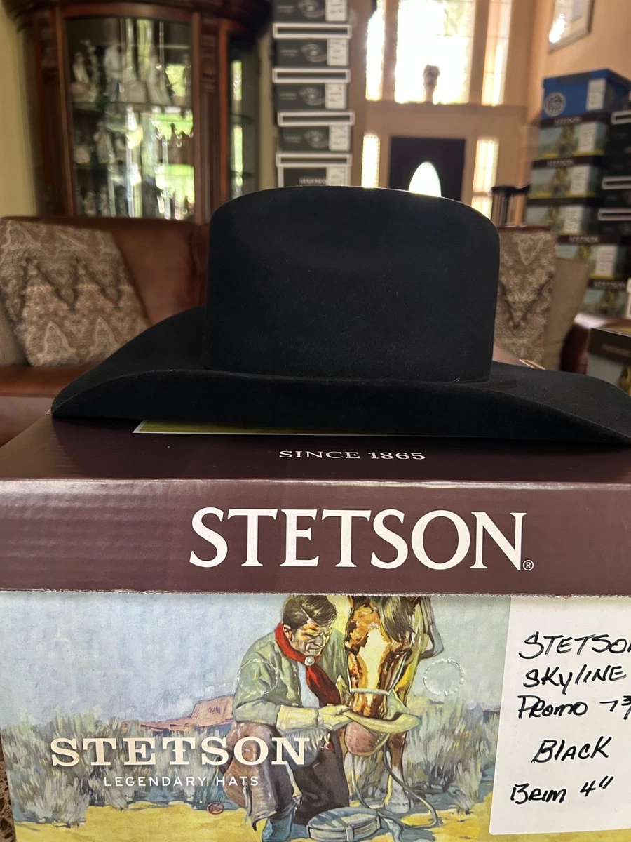 Stetson Men's 7 3/8 Size for Sale - eBay