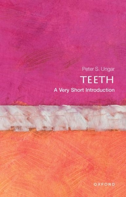 Teeth A Very Short Introduction by Peter S.  Ungar (Paperback Book) - Image 6
