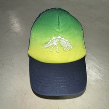 Stegosaurus Dinosaur Skeleton Snapback Hat Cap Youth Blue Green Cat  Jack