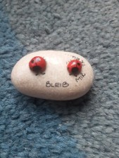Glückskäfer auf Stein *neu*