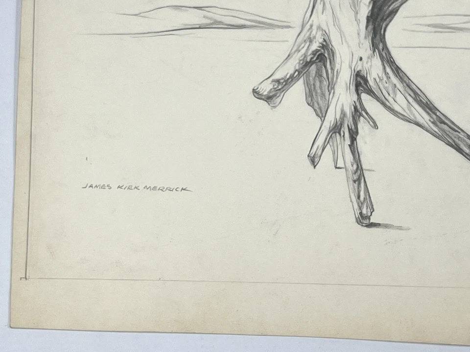 "Arte del desierto James Merrick de colección dibujo surrealista madera a la deriva de pie 11x14""" Foto 2 de 4