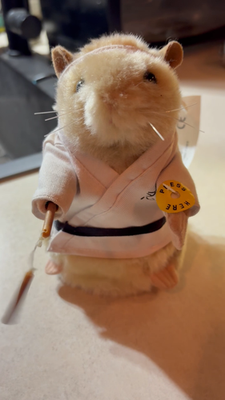 Gemmy Kung Fu Dancing Hamster - Needs Batteries Aa144 for sale