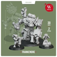 Doctor FrankenOrc - Artel W Ork Big Mek Painboy Mad Dok