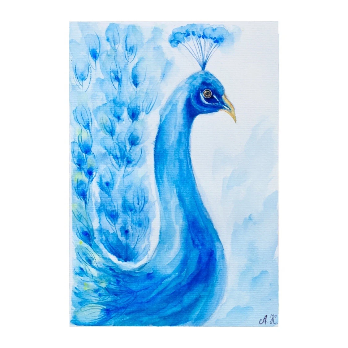 easy paintings of peacock