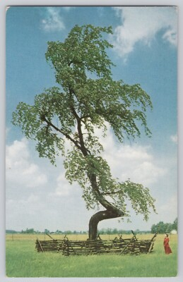 #ad Indian Trail Marker Tree Postcard SOHIO Standard Oil Upper Sandusky Chrome $3.99