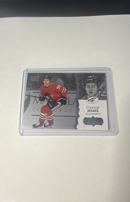 2023-24 Upper Deck Ice - Extended Rookies Connor Bedard #251 (RC)