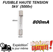 Fusible en Verre 5kV 800mA Idéal pour Micro-ondes & Électronique